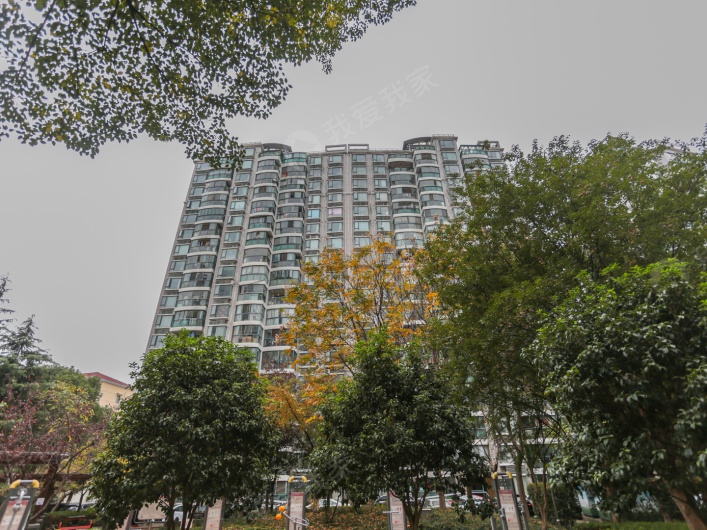 河风丽景