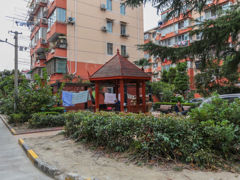 曹杨五村-南杨园136-325号