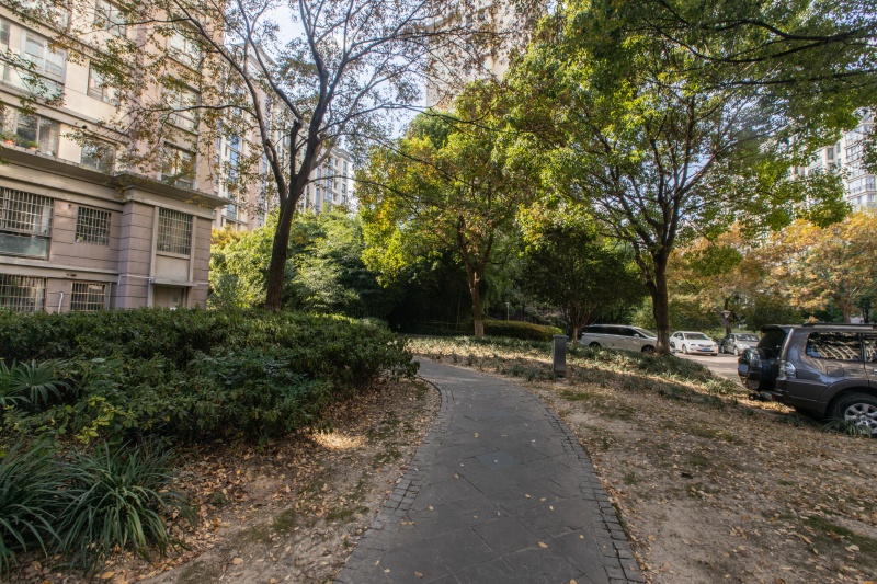 东苑新天地疏影路711弄