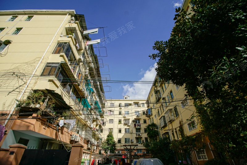 大木桥路450弄