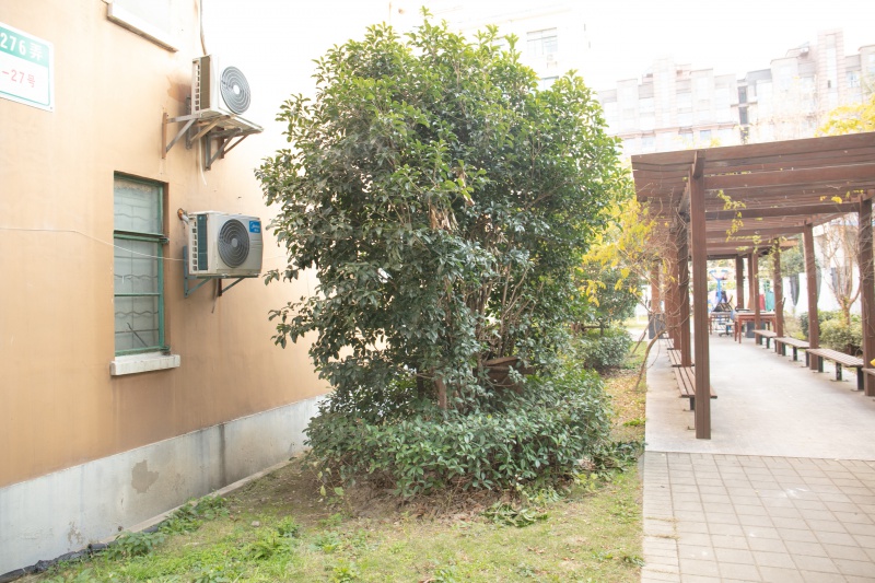 香楠小区