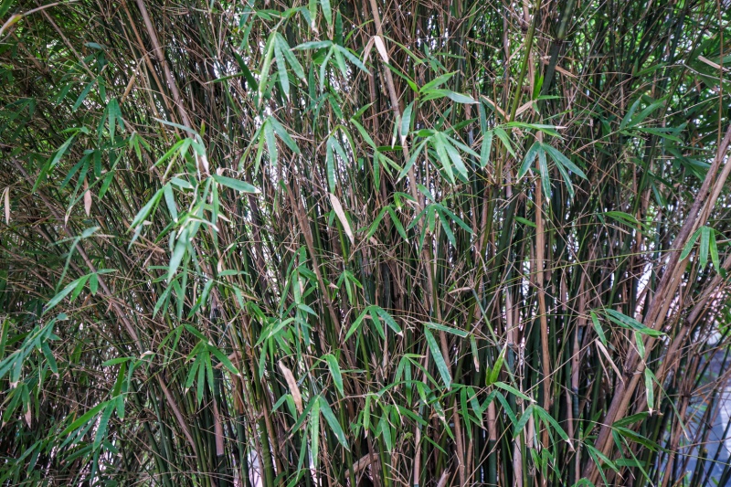 上海东沟三村